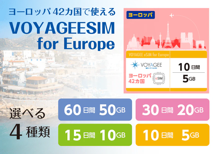 VOYAGEE SIMの概要