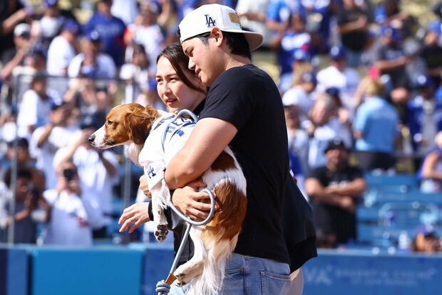 真美子さんの妊娠が大谷翔平選手のスポンサー収入に与える影響