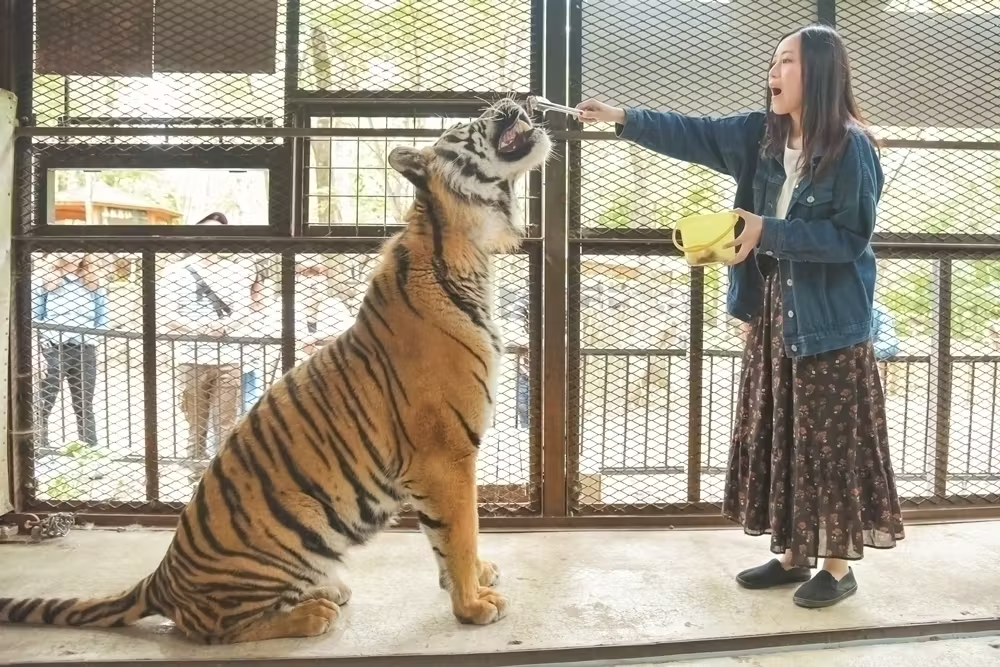 日本一危険な動物園 閉園命令 理由と過去の事例を追跡！