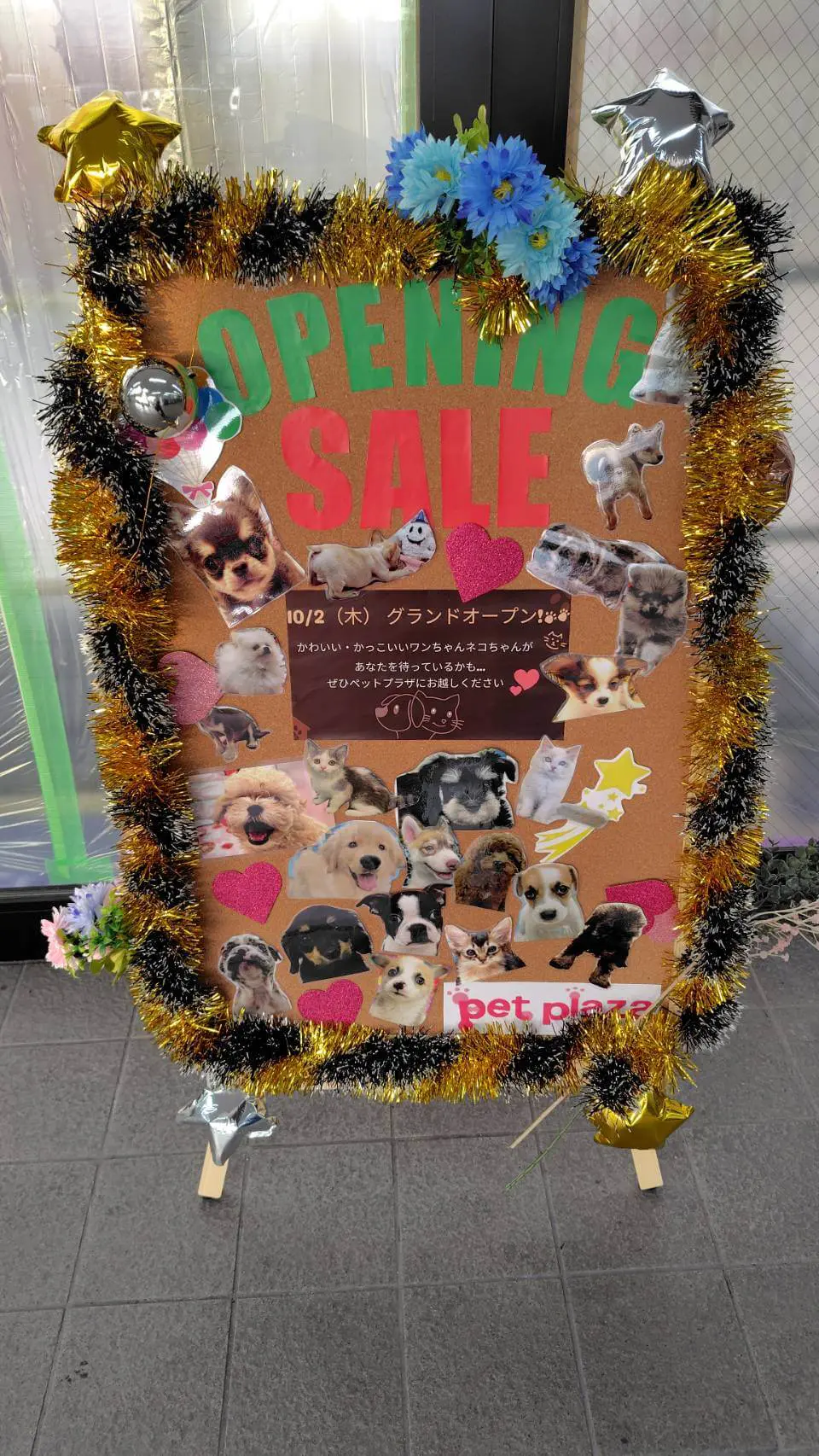 Pet Plaza（ペットプラザ）堺三国ヶ丘店 オープン日を知らせる立て看板。