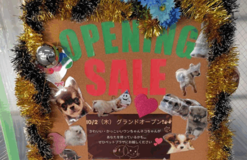 【堺市】三国ヶ丘ジョーシン跡地にできたPet Plaza（ペットプラザ）堺三国ヶ丘店の立て看板